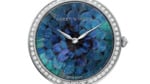 Hw_premier_feathers_ring-necked_pheasant_press resolution